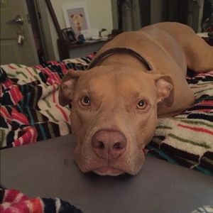 Meet your Posher, Alexandra